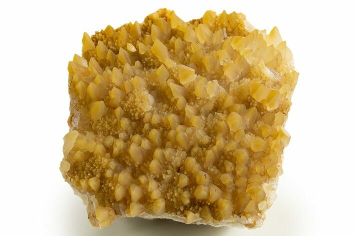 Sharp Dogtooth Calcite Crystal Cluster - Utah #323887